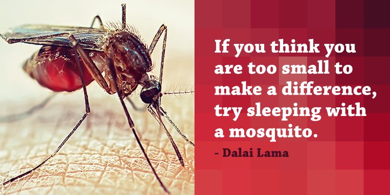 No matter who we are or what we do, we can all make a difference #MondayMotivation <a href="/DalaiLama/">Dalai Lama</a>