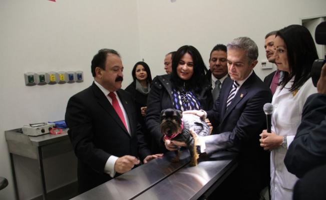 PartidoPACMA's tweet photo. Lo queremos aquí: México tiene un hospital veterinario público para personas sin recursos https://t.co/2yZbMZ6SGG https://t.co/W5RSQ95WH6