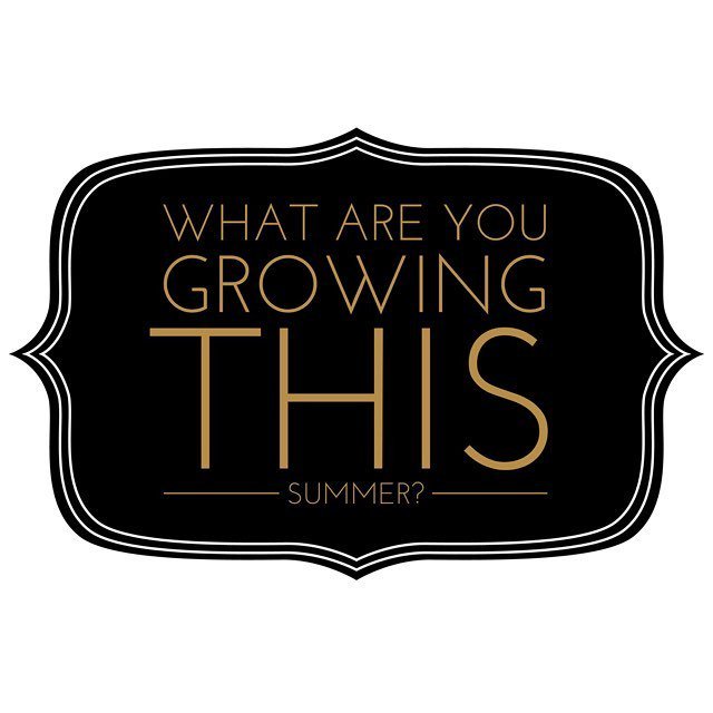 harperponics's tweet photo. What are you growing this summer? https://t.co/elz5TH41kq