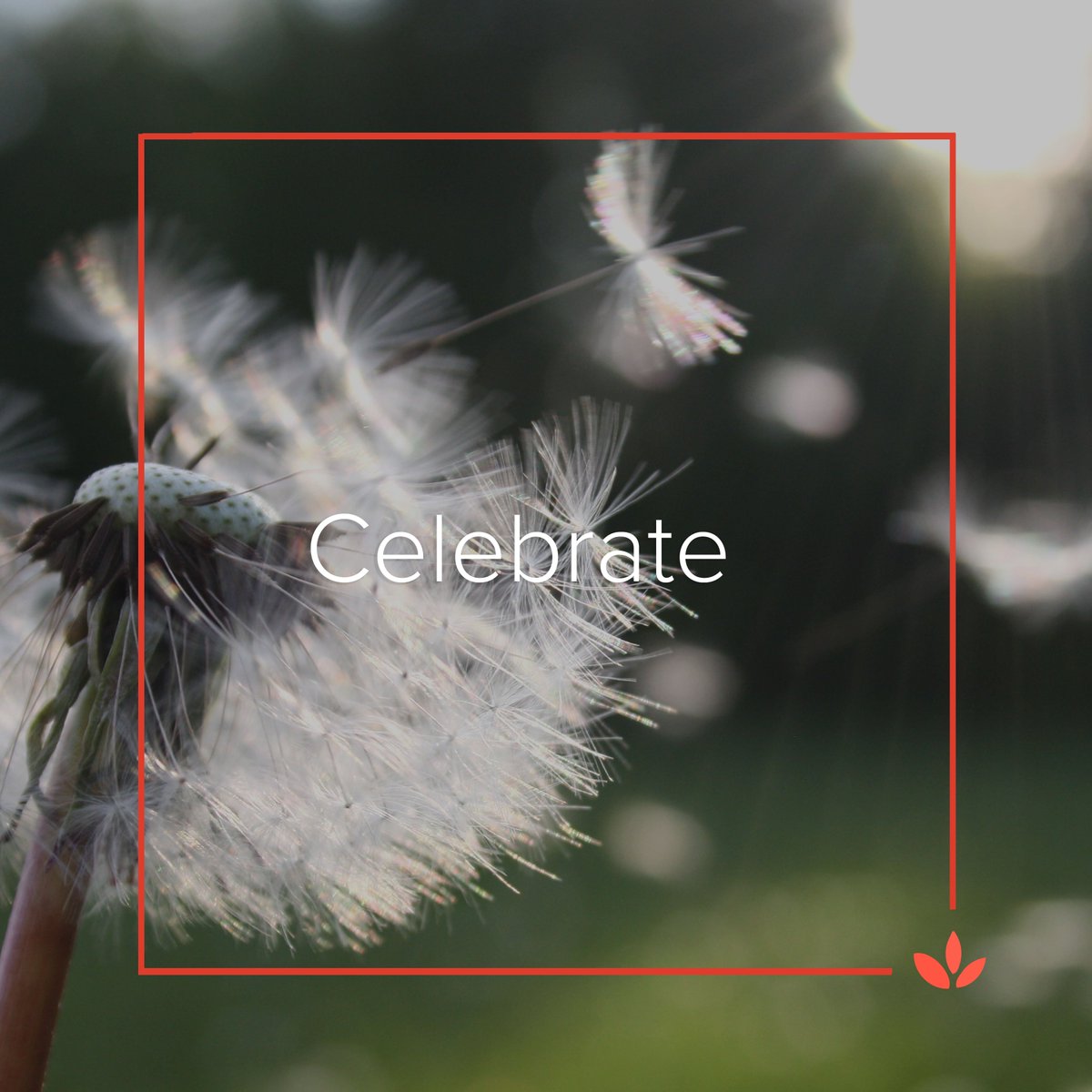 A time to celebrate. Our safehome is welcoming a new woman into the home this week! #grateful #endtrafficking