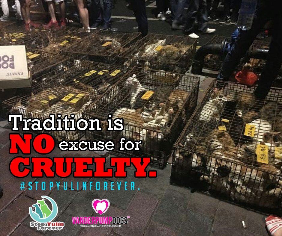 stopyulinforevr's tweet photo. Our heart bleeds for these innocent souls, the souls that give us unconditional love. #StopYulinForever #Hope https://t.co/kezszAoqzi