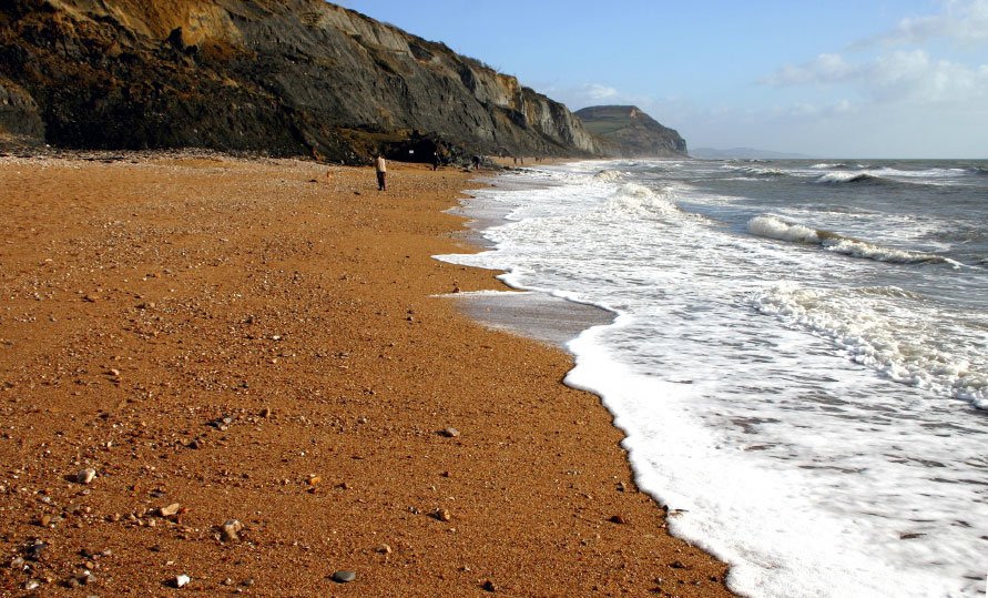 LuckyLarryLloyd's tweet photo. @ClaireTalbotx @ToyneBrian on the Jurassic Coast, fossil collecting on Charmouth Beach #thatsoldstones #notoaps https://t.co/kM3n40Zs36