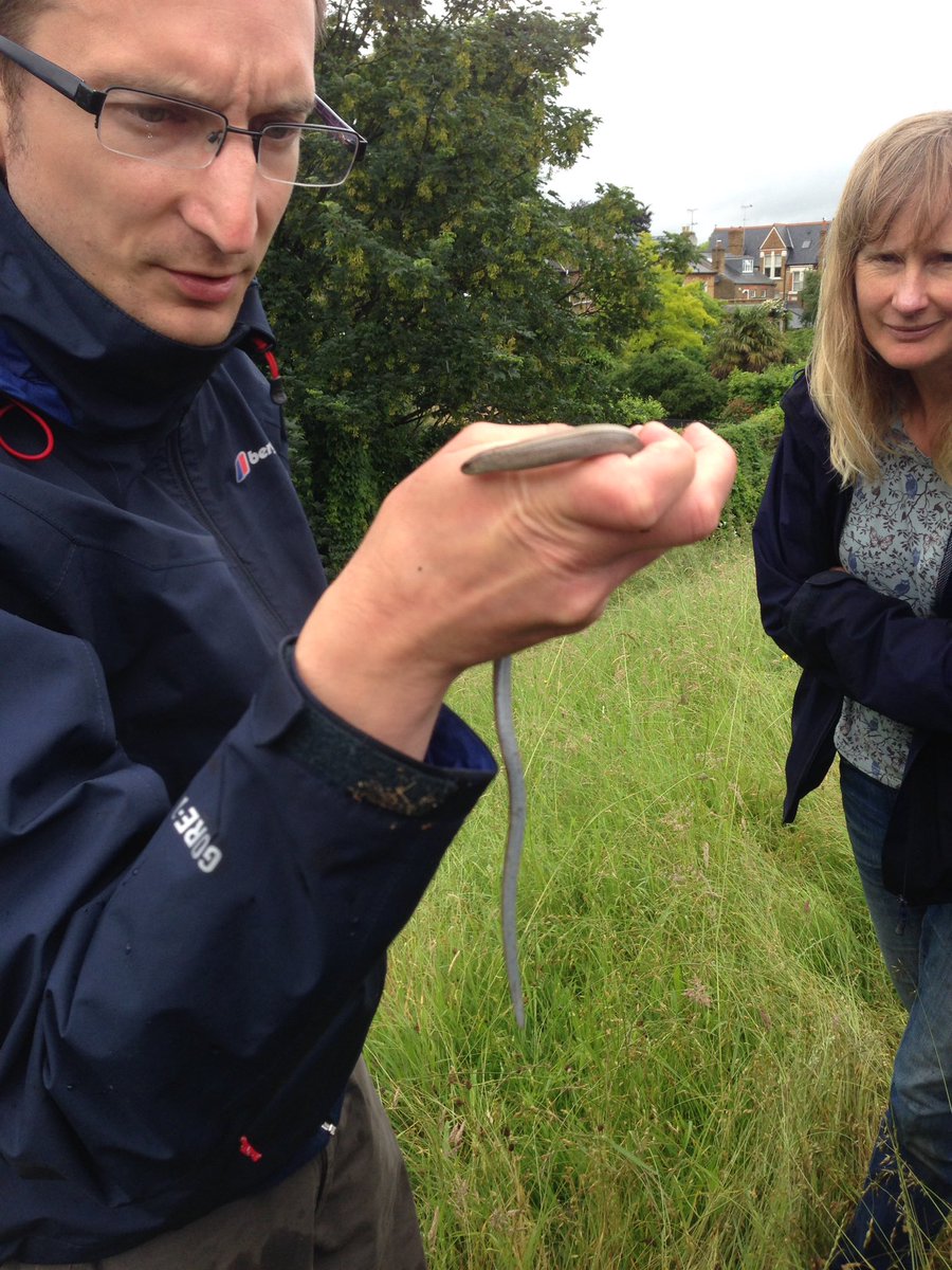 LondonLEEF's tweet photo. Special guest at wetland habitat #LEEFTraining @WWTLondon https://t.co/TQN7iw9GYW