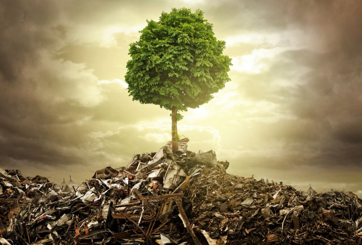 1Autre_Vision's tweet photo. An infinite growth in a finite world can't last ! #unplugyourself #climatechange #stopconsumption https://t.co/UfFVmpTgda