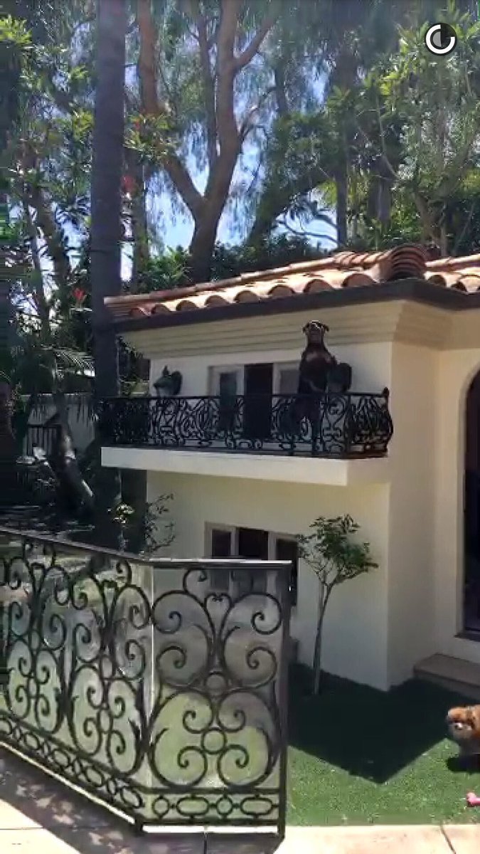 Pencinta Kucing On Twitter Rumah Anjing Paris Hilton Bernilai