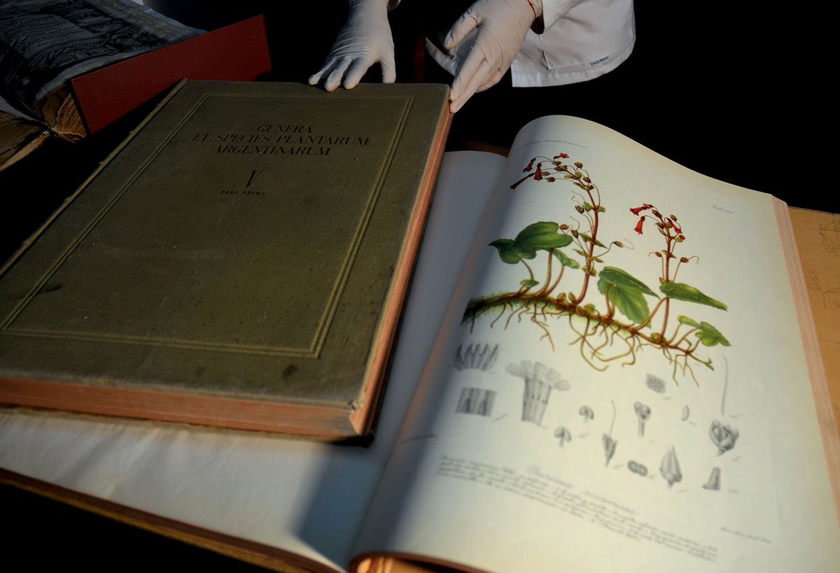 MUSEOSUNC tweet media