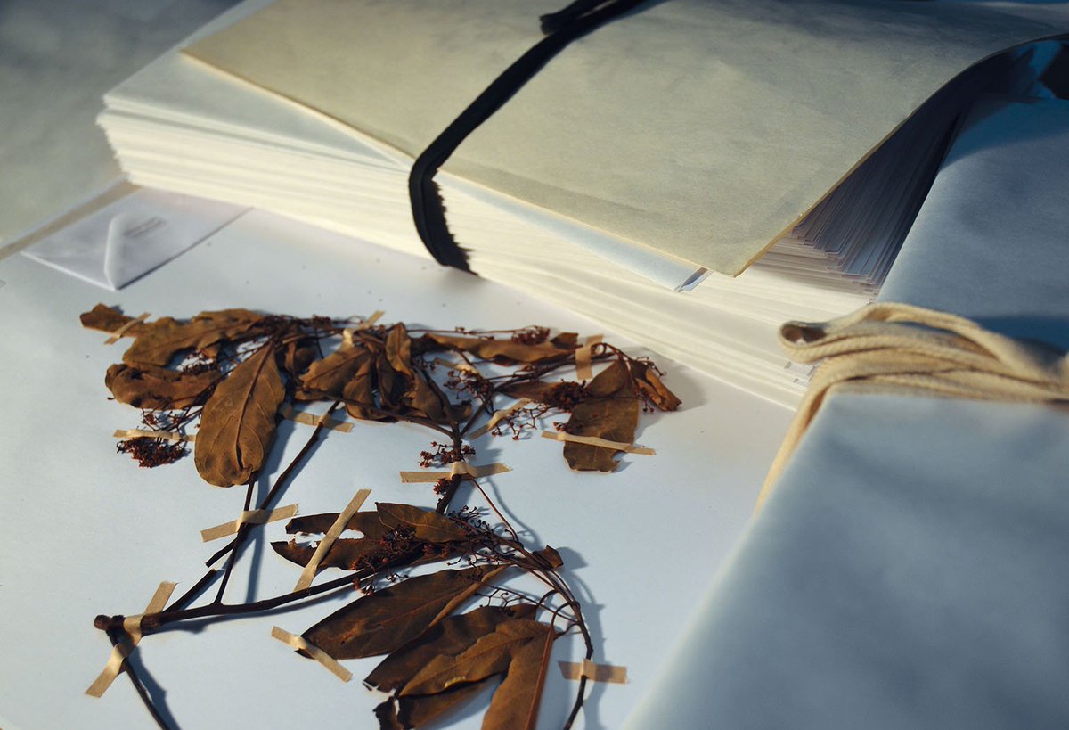 MUSEOSUNC tweet media