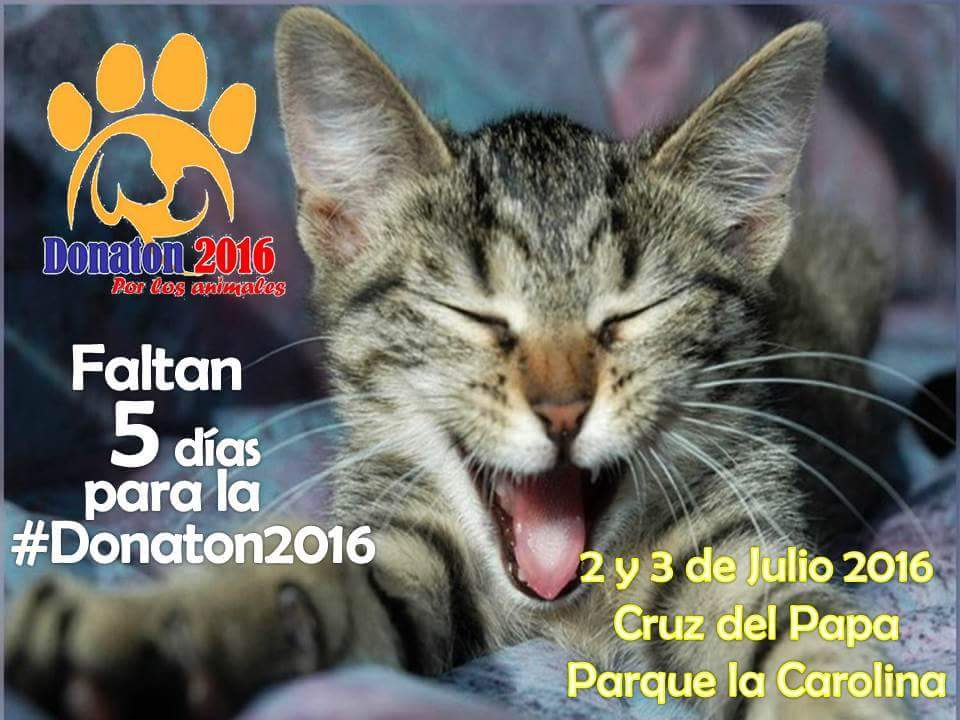 Te esperamos #Ellosnosnecesitan #Unidosporlosanimales sábado 2 y domingo 3