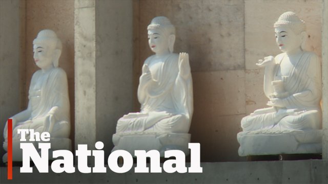 CBCTheNational's tweet image. Will a push for green energy spoil the tranquillity of a Buddhist temple in rural Ontario? youtu.be/PJMb1c216L4