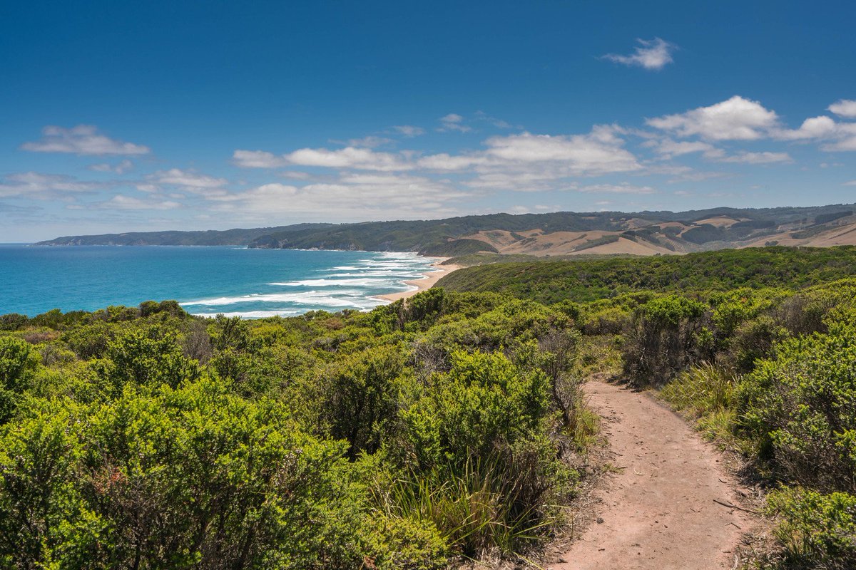 TrailsforChange's tweet photo. 100km of Trail Heaven awaits our participants #T4C #GreatOceanRoad #trailrunning https://t.co/sagks5unkq
