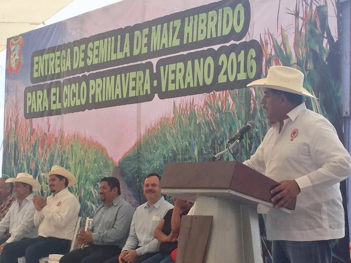 JCMolina2016's tweet photo. Entrega semilla de maíz híbrido para el ciclo primavera-verano 2016 en el Municipio de San Andrés Tuxtla @CNC_CEN https://t.co/NgrhkaLx8Z