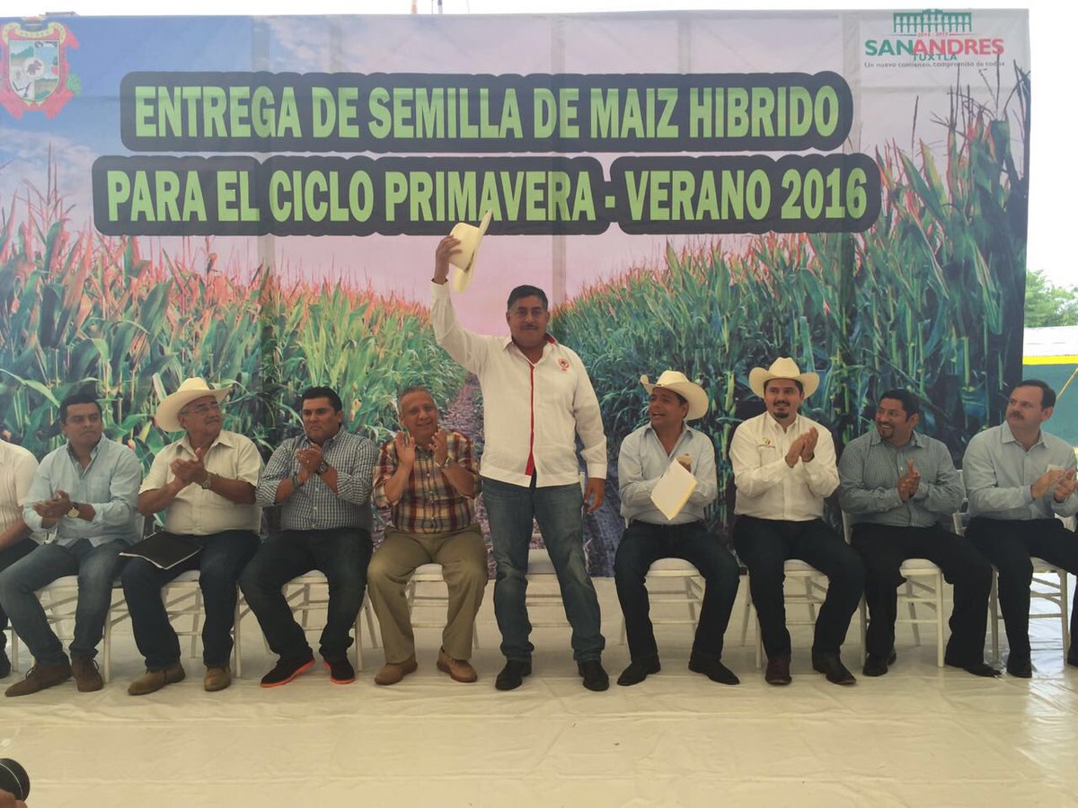 JCMolina2016's tweet photo. Entrega semilla de maíz híbrido para el ciclo primavera-verano 2016 en el Municipio de San Andrés Tuxtla @CNC_CEN https://t.co/NgrhkaLx8Z