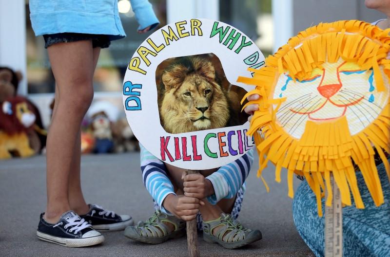 freeWPZ3's tweet photo. Trophy Hunters exploit loophole in US Charity Contributions https://t.co/qspE9muULd #BanTrophyHunting #BanSCI https://t.co/8Nd7ZcZ5JQ