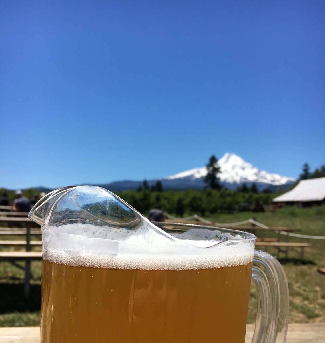 travelportland's tweet photo. Brew with a view! Snag a pitcher of your own at the amazingly scenic @SoleraBrewery. #OMHT #PDX (📷: @r2_ross) https://t.co/njM2IxXPSZ