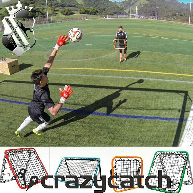 Crazy Catch tweet media