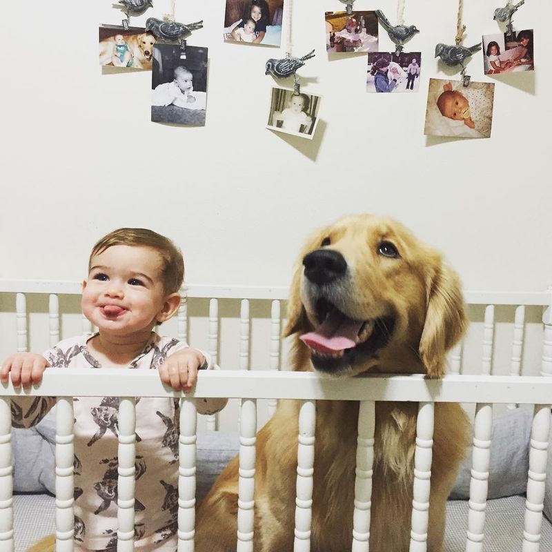 Dog face is the new duck face.