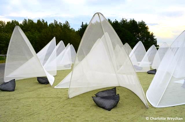 GardenGalloper's tweet photo. @jardinsdemetis Absolutely visionary #Tilt https://t.co/WvN0BIy344
