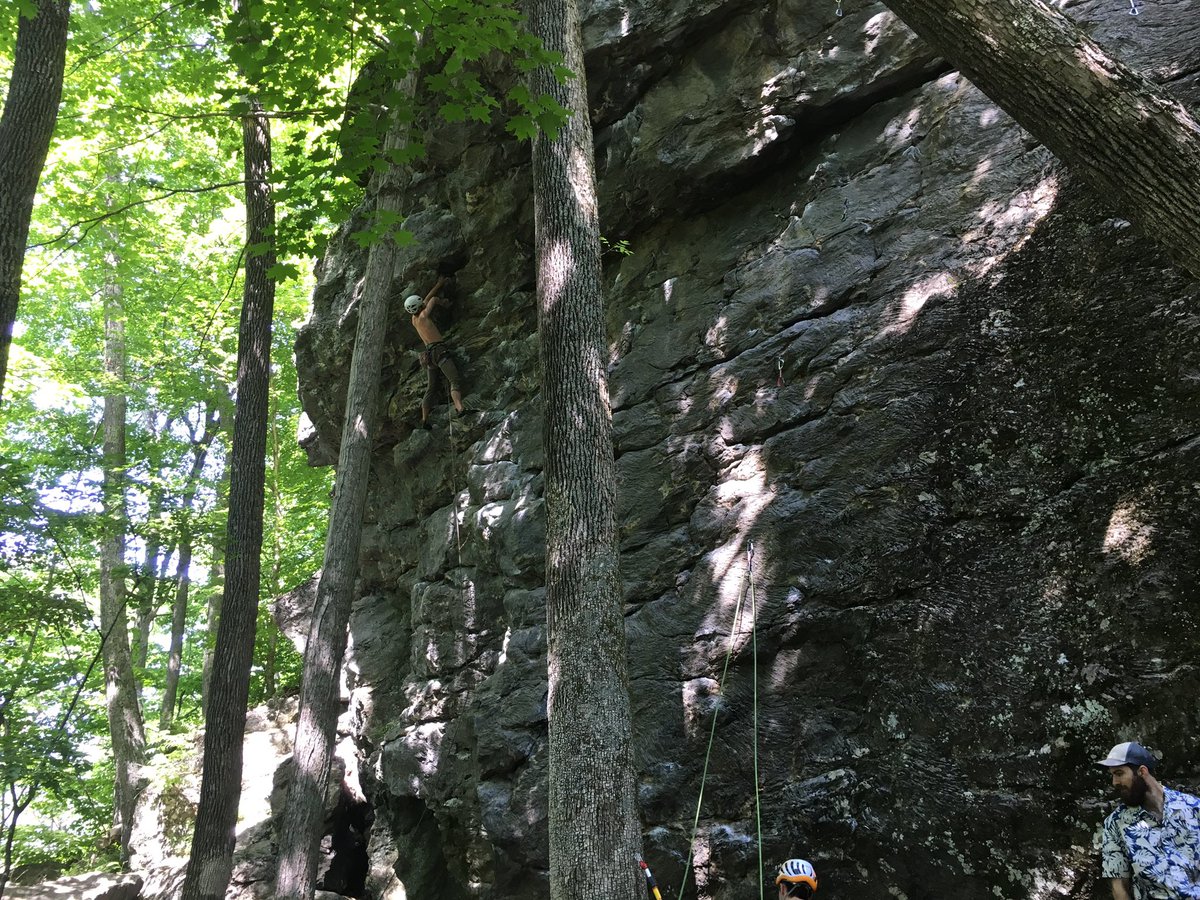 Mark Grabois tweet media