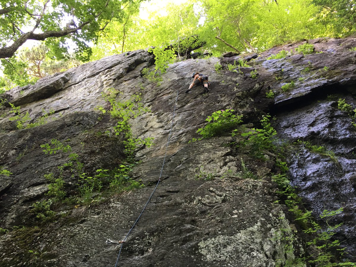 Mark Grabois tweet media