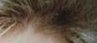 daltyroots's tweet photo. @DaltonRapattoni Dalt please fix me https://t.co/4ypMpC6Imu