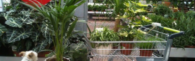 ABGLayouts's tweet photo. free Ariana Grande layout ❀ rt/like if you save, give credits if you use &amp; please don't steal. - Soph 🍃 https://t.co/bqca1LJ8cN
