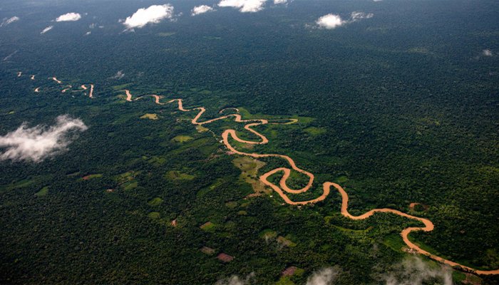 Leer meer over het leven in #ManúNationalPark in #Peru en waarom deze plek zo bijzonder is!
video.nationalgeographic.com/video/magazine…