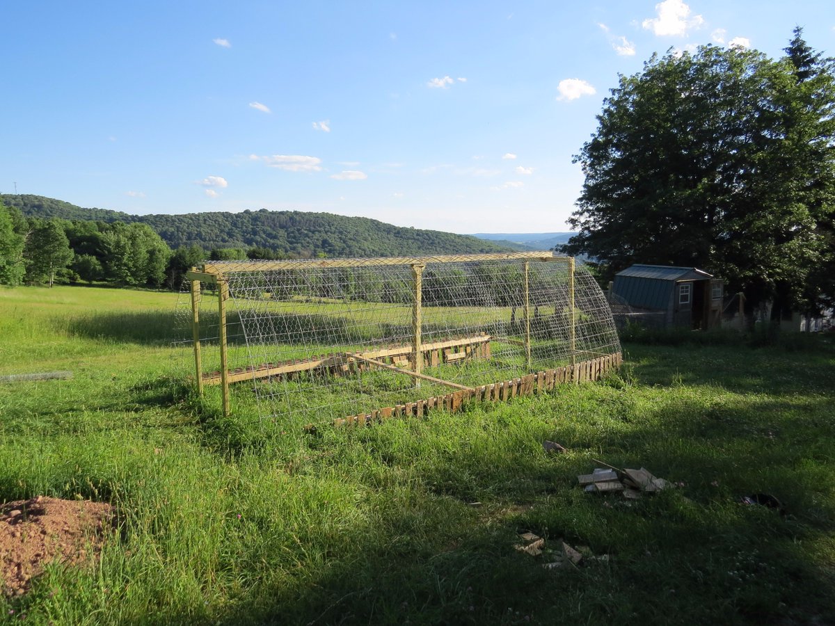Redfeatherfowl's tweet photo. Almost finished with our new #growerpen. It will also winter #turkeys.
#Chickencoop #pallets #GSD #poultry #chicken https://t.co/Ux2pMn4eQ6