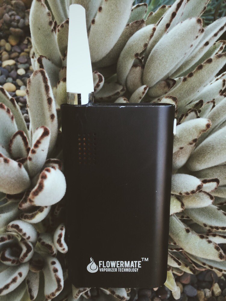 FlowermateVapes's tweet photo. We will be at Champs Las Vegas, a large cannabis industry trade show taking place July 19th - 21st. #ChampTradeShow https://t.co/fYF62ZCXY8