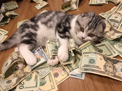 purrivilege's tweet image. countin commas