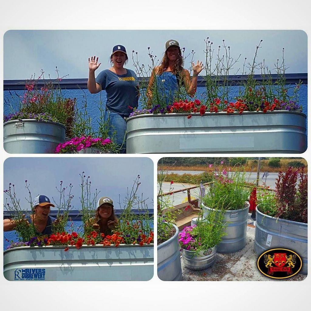 Large up to our friends @royalgoldsoil for donating the soil for <a href="/6rbmimi/">Meredith Maier</a> and @bridgetcwin… ift.tt/28ZlG93