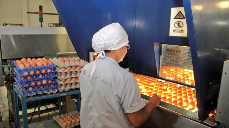 HugoRamirezANR's tweet image. @nutriHUEVOS  presenta al mercado local una nueva presentación consistente en huevo líquido. #innovacion 👏🏼🍳