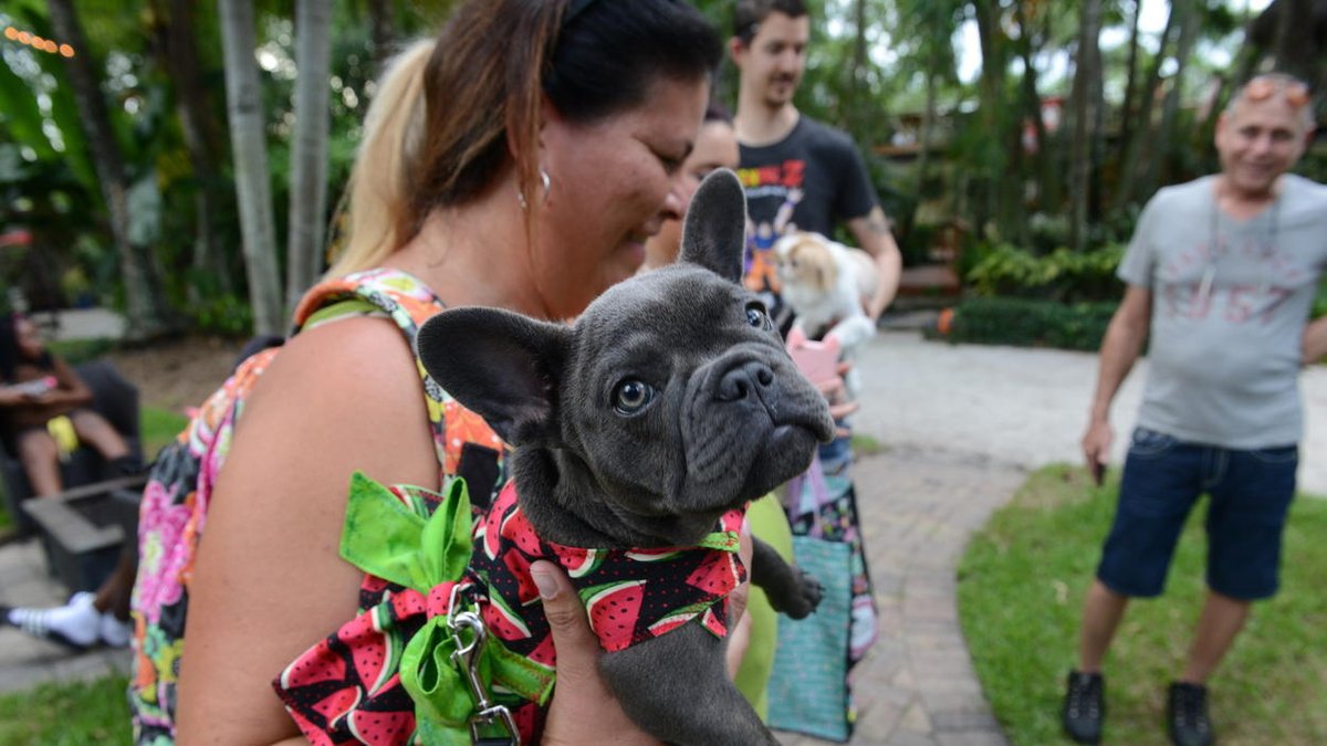 southflorida's tweet photo. PHOTOS: #Rolex and the the #WatermelonBash in Davie https://t.co/lxVFkAarrO https://t.co/pUEuYaM8pi