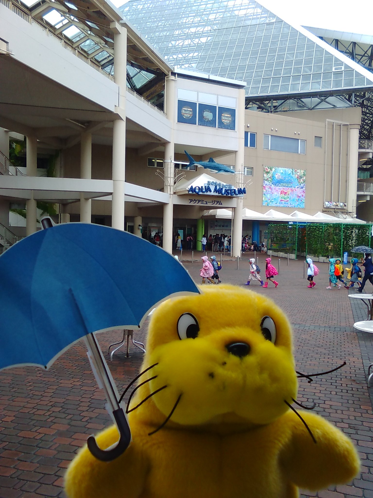 Twitter 上的 横浜 八景島シーパラダイス公式 おはようございます 雨模様のシーパラですが 今日も元気なお兄さん Amp お姉さんがたくさん遊びに来てくれています 雨の日でも楽しいシーパラダイスで今日も１日お過ごしください シーパラ 八景島