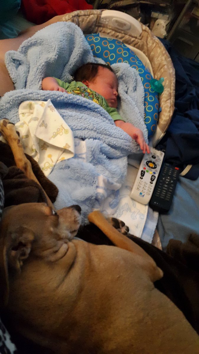 Mayelf7's tweet image. Stitch taking care of RJ even when I fall asleep. (Woke up to this)