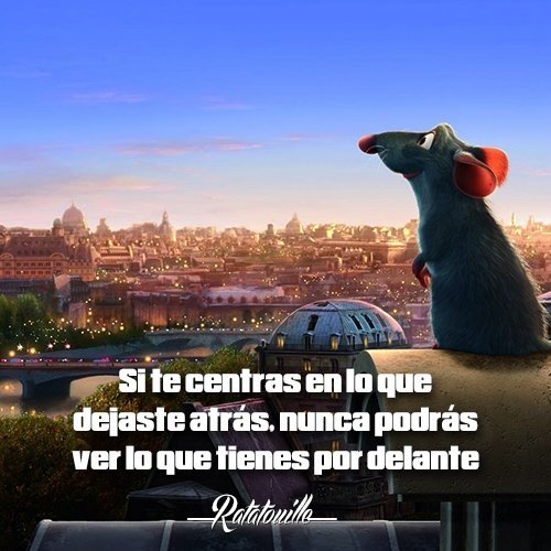 NVignaedo's tweet photo. https://t.co/qZvI0xV0pP