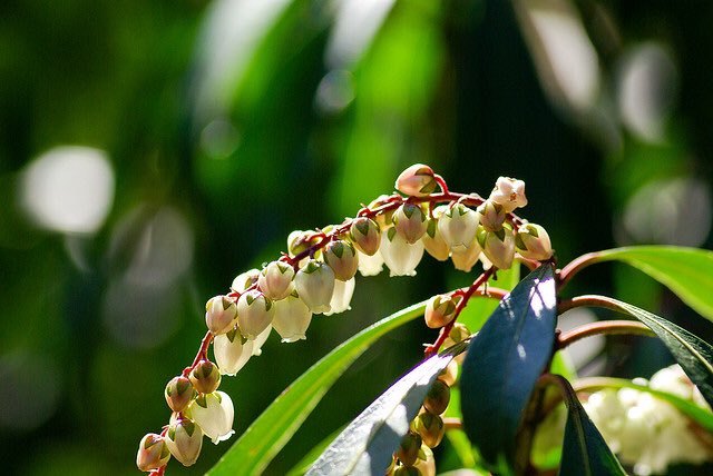 E6 8e A8 81 97 Ad A3 81 Ab E5 90 81 86 E8 8a B1 E8 A8 80 E8 91 92 E6 8c 99 81 92 81 A6 81 8f Twitter Search Twitter