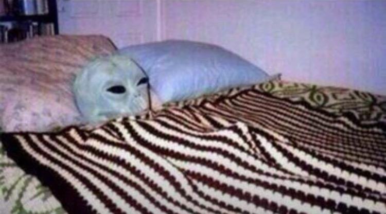 When you go to bed high as fuck