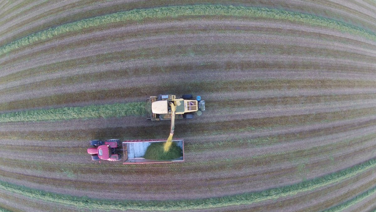 David Park tweet media