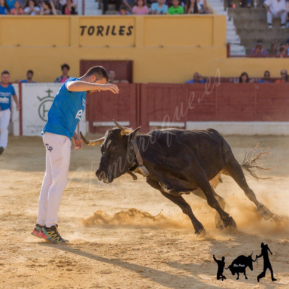 elembroque's tweet photo. @Arrugatacheli #Alagon #vacasdecorro #campobravo #campo #toreo #traficion #tauromaquia… https://t.co/61zQwxHgzp https://t.co/lmAC2PV0Q4
