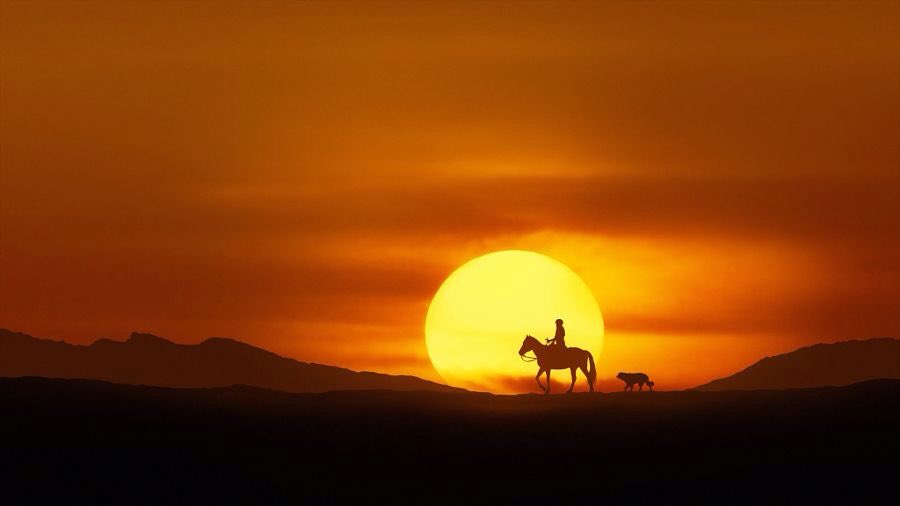 ramblingsloa's tweet photo. End your day with a smile, a happy thought and a grateful heart.

Pic Anna https://t.co/gFeE0Csd0C