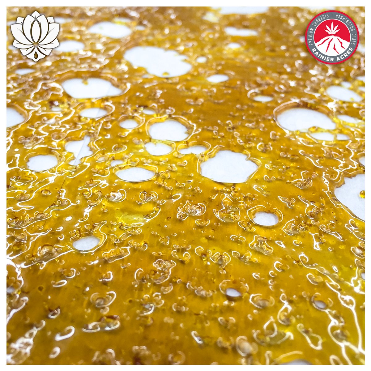 It's sunny and beautiful out side in eastern WA. #sunisshining #weatherissweet #dabs #i502 #cannabiscommunity #cbd