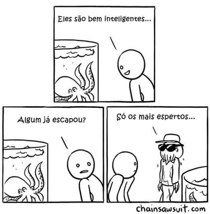 OctopusesLife tweet picture