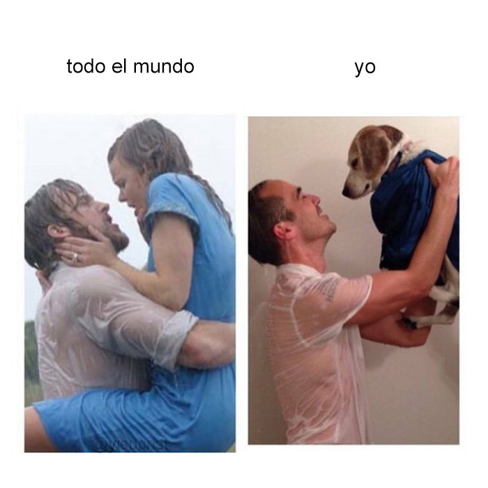 yisucrist's tweet photo. resumen d mi bida https://t.co/rGHwrvFpaK