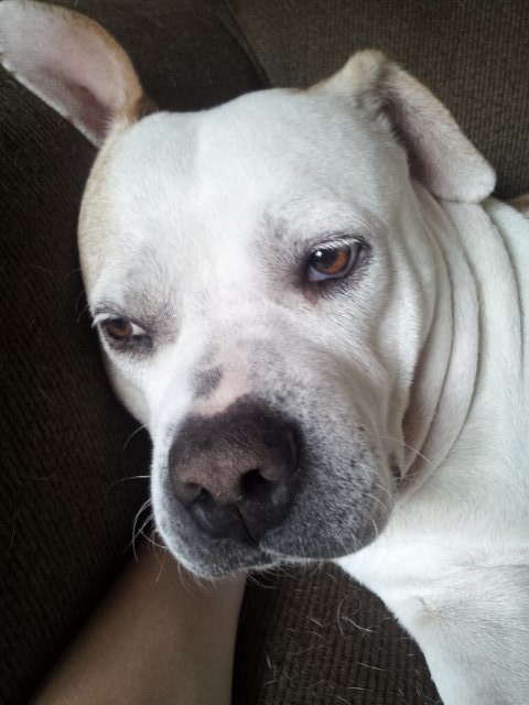 EventfulRelic's tweet image. Really bitch