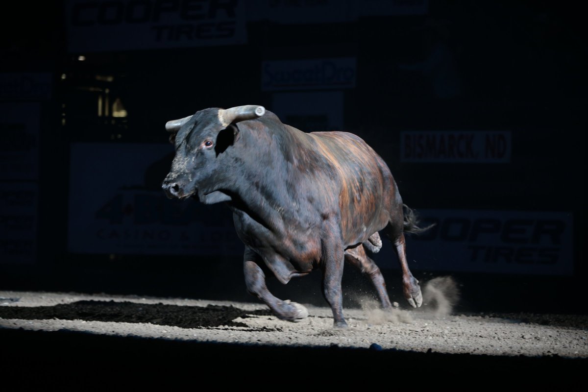 PBR tweet picture