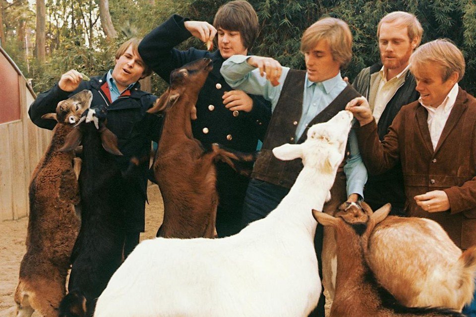 pitchfork's tweet photo. Brian Wilson turns 74 today—take a look back at his magnum opus, Pet Sounds https://t.co/14aOI3wead https://t.co/QMfWY25Elk