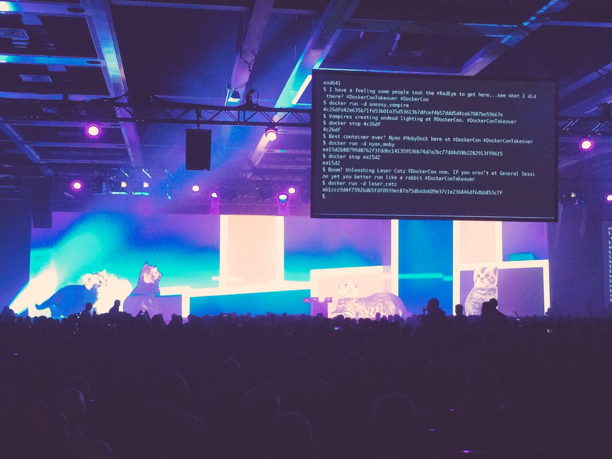 sonjahall's tweet photo. Dockercon 2016 Keynote... and kittens shooting laser beams to kick things off. #dockercon #keynote @BoozAllen https://t.co/rnsZw9DoUv
