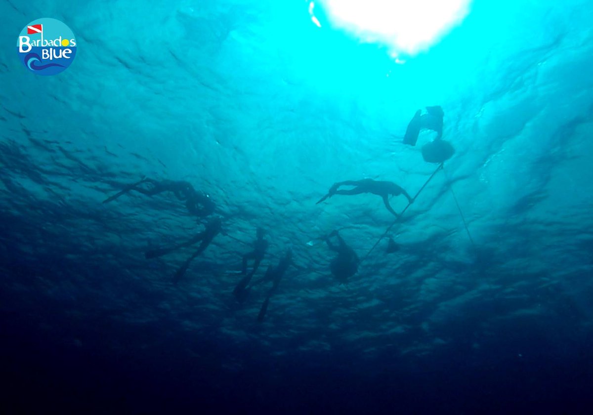 EcoBarbadosBlue's tweet photo. Barbados' 1st professional freediving course, Barbados Blue last week. Techniques, safety, personal goals &amp; success! https://t.co/kg4w4ECLWM