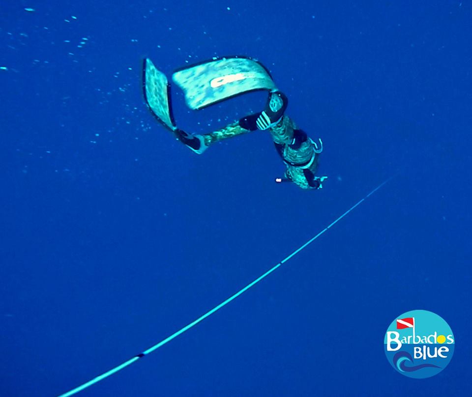 EcoBarbadosBlue's tweet photo. Barbados' 1st professional freediving course, Barbados Blue last week. Techniques, safety, personal goals &amp; success! https://t.co/kg4w4ECLWM