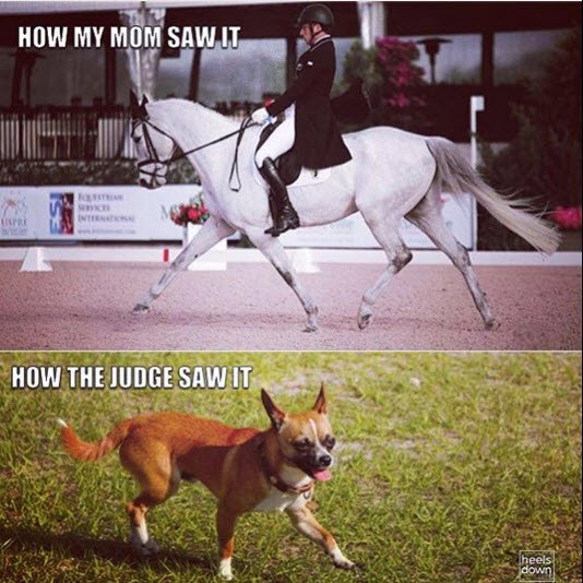 Ariat's tweet photo. Unfortunate but accurate :) #Equestrian #HorseShowLife #Horses https://t.co/ta8BpFMuyV